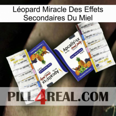Léopard Miracle Des Effets Secondaires Du Miel 12